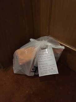 Überraschung von den SCHULWÄRTS!–Mädels nach einer langen, anstrengenden Reise