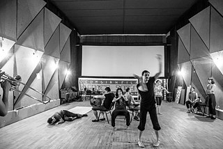 More than one species