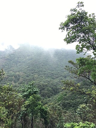 Circa zwei Kilometer lief ich auf diesem wolkenverhangenen Weg 