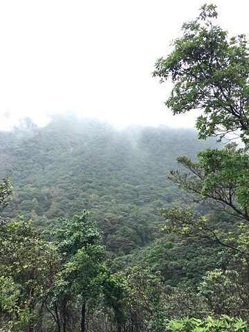 Circa zwei Kilometer lief ich auf diesem wolkenverhangenen Weg 