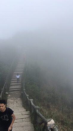 Die letzten hundert Meter