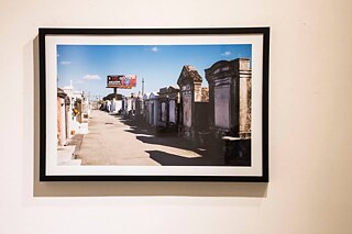 Landscapes and Lifestyles