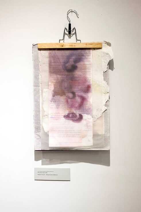 Buchschmuck + Paragraph