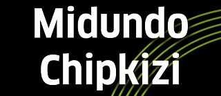 Midundo Chipkizi