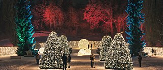 Christmas Garden Berlin