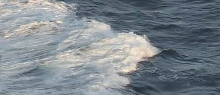 Listening to the Echoes of the South Atlantic