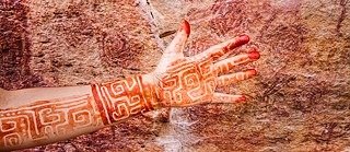 Wombs of the Atlantic Rainforest 