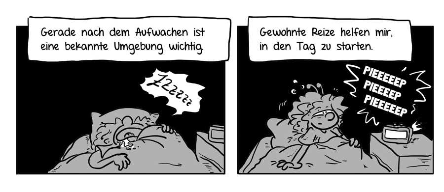 Comic-strip Daniela Schreiter