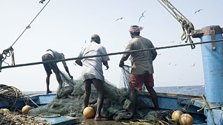   © © Benjamin Brix Collage Ben 7