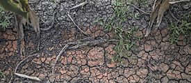 Cracks appear as traces of drought on land in Al-Buhaira. Detail from "We, the Living Dead, 2018"
