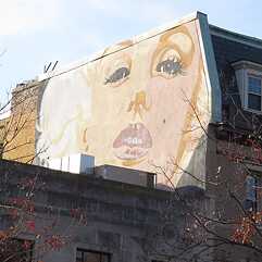 The Marilyn Monroe - John Bailey
