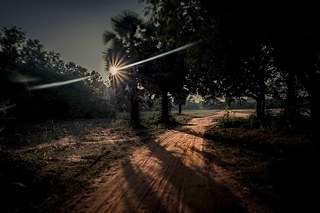 Red dusty road in Auroville