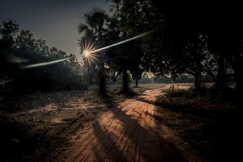 Red dusty road in Auroville