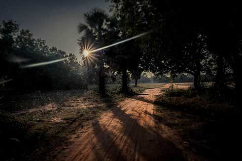 Rote Staubstraße in Auroville