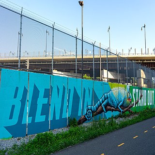 BrocoLoco -"Blend In - Stand Out"