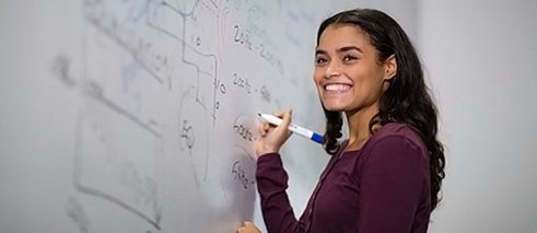 留德之桥项目内容