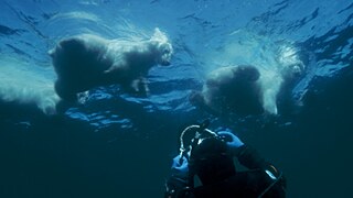 Science Film Festival - Winner Visual Effects and Cinematography Award 2017: Amos, The Impossible Shot