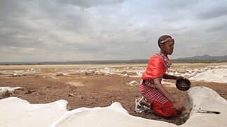 Science Film Festival - Winner IPST Education Award 2017: Full Proof – Salt