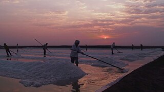 Science Film Festival - Winner Prize of the Jury 2017: Dynamic Salt