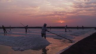 Science Film Festival - Winner Prize of the Jury 2017: Dynamic Salt