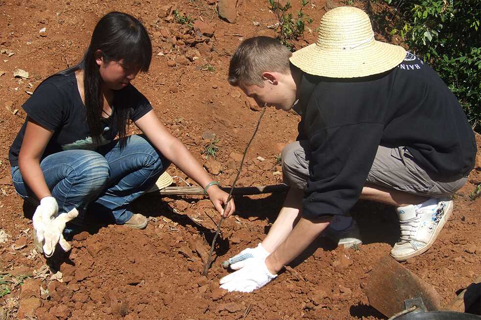 Students at Hainberg Grammar School in Göttingen set up a company: “Macadamiafans”. The revenues it generates are used to support African farmers and finance scholarships that help fellow-students gain experience abroad – for example, by working on a reforestation project in China.
