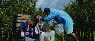 Selbstkritik eines bürgerlichen Hundes 