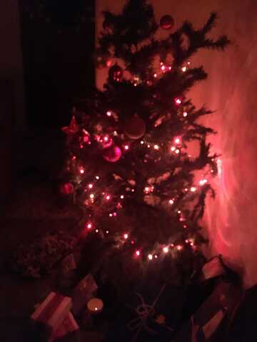 Der Weihnachtsbaum