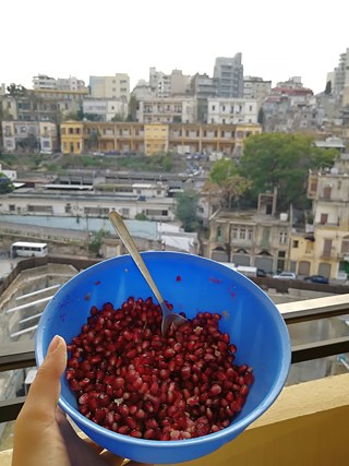 Ein kleiner Snack mit toller Aussicht