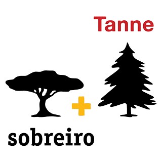 sobreiro+Tanne