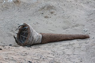 Distance in Deepness