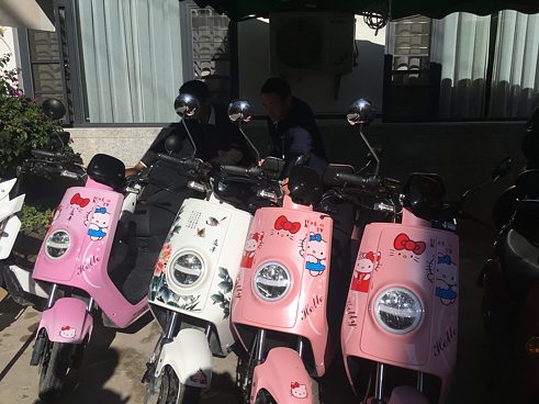 Die zur Wahl stehenden Elektro Mopeds