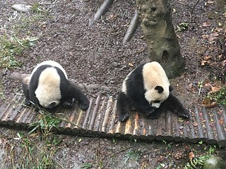 Genüssliches Fressen, Part 4