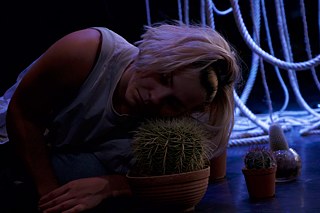 STILL TO COME (A Feminist Pornscape)