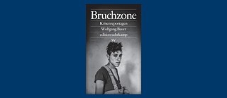 Buchcover: Bruchzone