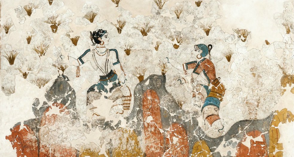 Οι περίφημες «Κροκοσυλλέκτριες», τοιχογραφική σύνθεση που βρέθηκε στο Ακρωτήρι Σαντορίνης και χρονολογείται στα μέσα περίπου της 2ης χιλιετίας π.Χ. 