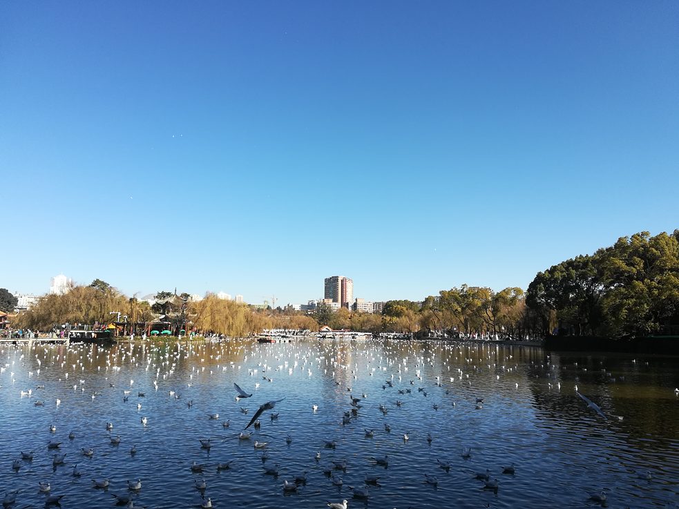 Green Lake Park Kunming