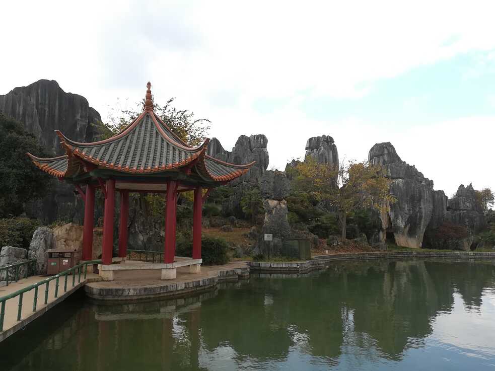 Steinwald Kunming
