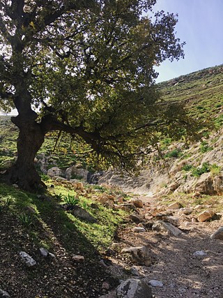 Perfektes Kalenderbild