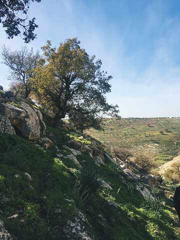 Landschaft