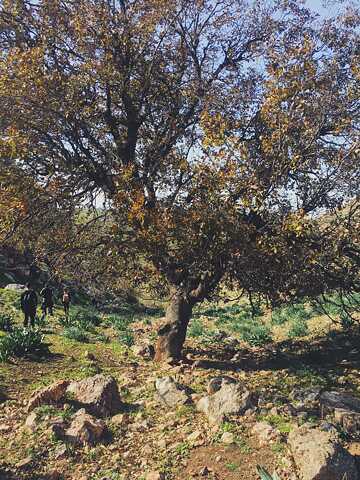 Landschaft