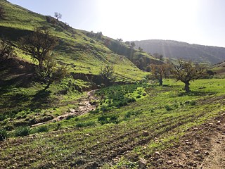Die schöne grüne Landschaft