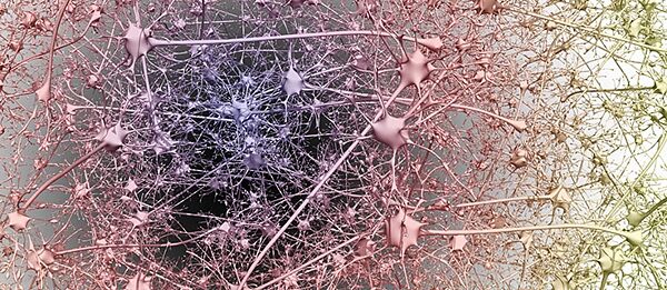 Maschinelles „Deep Learning“ orientiert sich an der Vernetzung von Nervenzellen.