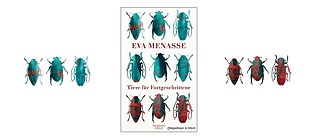 Eva Menasse: Tiere fuer Fortgeschrittene
