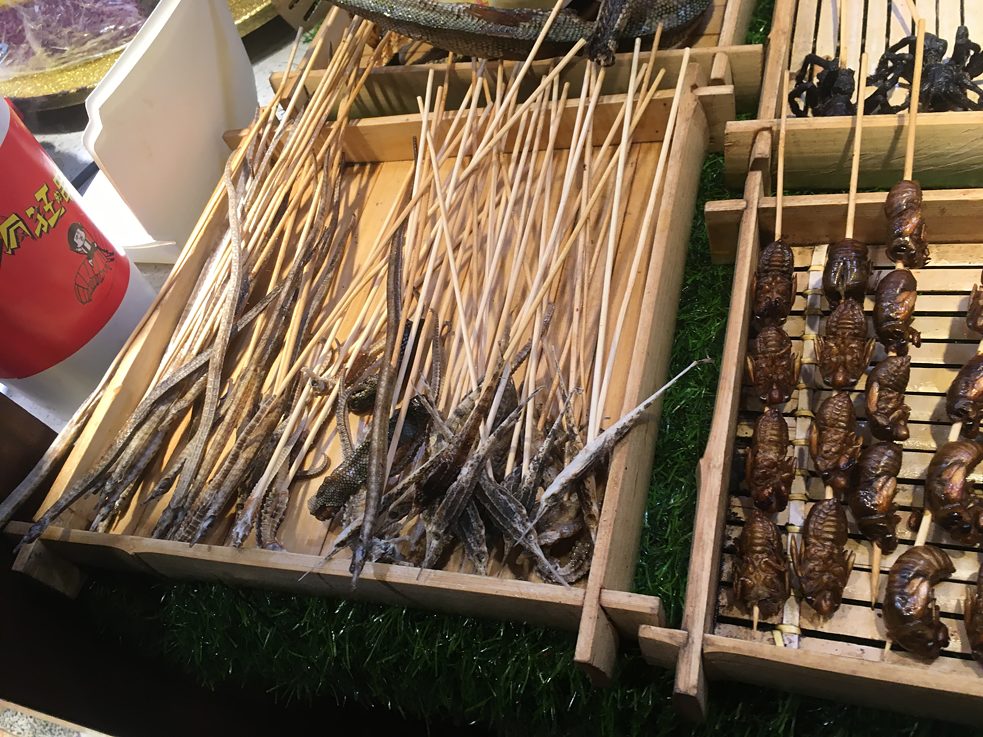 Gegrillte Seepferdchen (links), Käfer (rechts) und Skorpione (oben rechts) in einem Food Court in Hangzhou