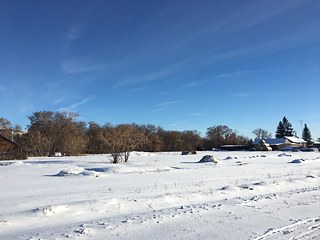 Eindrücke aus Blumenfeld