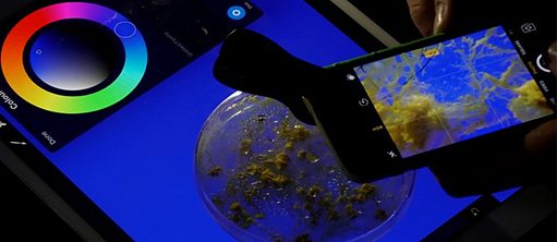 Фото Терезы Шуберт