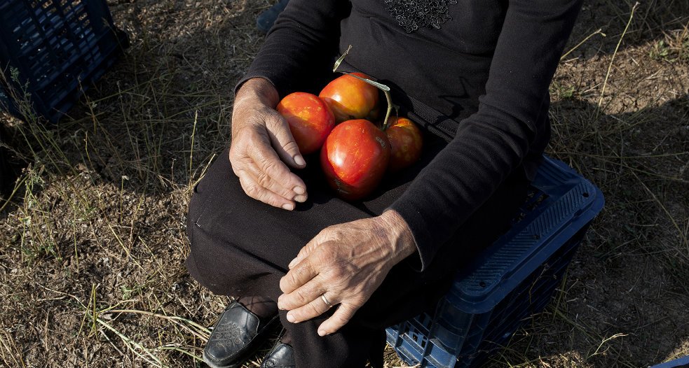 «When Tomatoes Met Wagner» : Marianna Economou