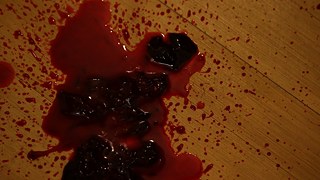 Moment's Notice © Arunima Tenzin Tara &copy; © Arunima Tenzin Tara Moment's Notice