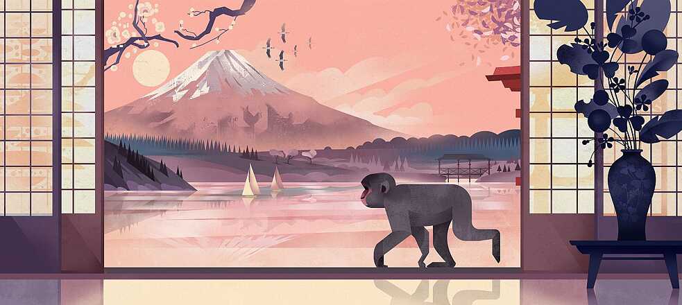 Braun: Die Welt der Berge, Fuji