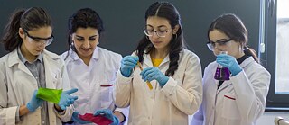 Team aus Armenien Umwelt macht Schule 2018